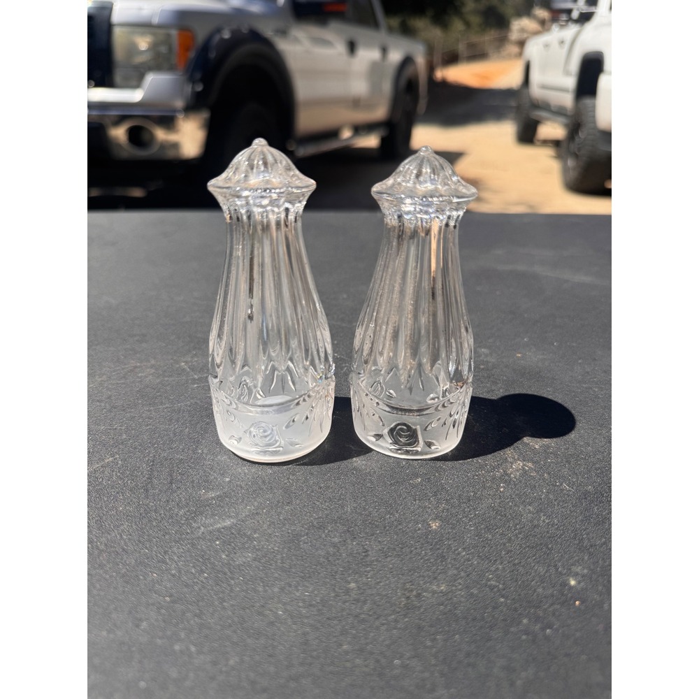 Vintage Oneida Rose Southern Garden Crystal Salt and Pepper Shakers Set 4 inch